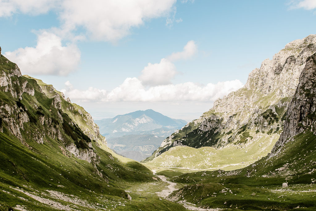 Webdesign: Farbpsychologie und emotionale Markenwirkung